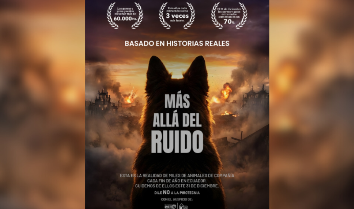 Frente a esta realidad, Casa Pica presentó la campaña “Más Allá del Ruido”.