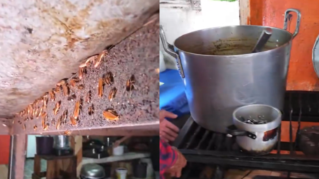 Un local de venta de caldo de salchicha fue clausurado por Arcsa debido a la presencia de plagas e insalubridad.