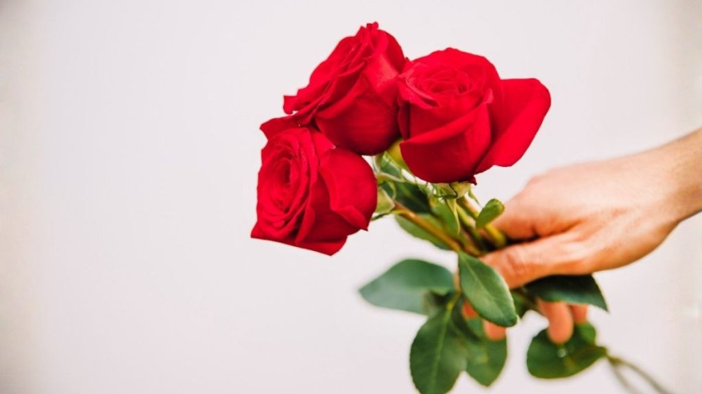 En el siglo XIX, las flores se utilizaban para enviar mensajes codificados. Las rosas rojas significaban te amo.