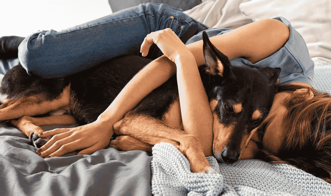 Dormir con tu mascota puede reconfortar, pero exige cuidar higiene y descanso.