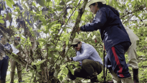 La inversión extranjera directa en Ecuador llegó a USD 1.299 millones en 2025, con un crecimiento del 191%, impulsada por políticas del Gobierno Nacional.