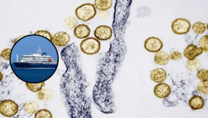 Hantavirus