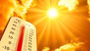 Calor