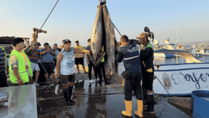El MAGP promueve la afiliación de pescadores artesanales al Seguro Social Campesino para ampliar el acceso a salud y beneficios sociales.