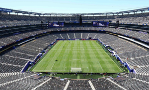El organismo rector del fútbol estableció un precio base de 450 dólares por fragmento del campo.