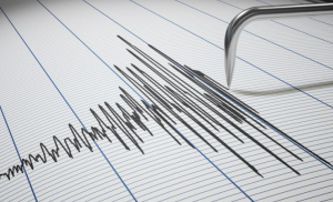 El Instituto Geofísico del Perú (IGP) detalló que el epicentro del sismo se localizó en el océano Pacífico.