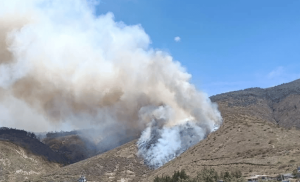la entidad articula acciones con diversas instituciones del Estado para contener el avance del fuego y mitigar los daños en la vegetación.