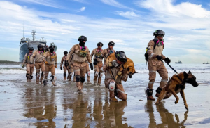 La maniobra militar simuló la respuesta operativa frente a un devastador sismo de magnitud 7,8